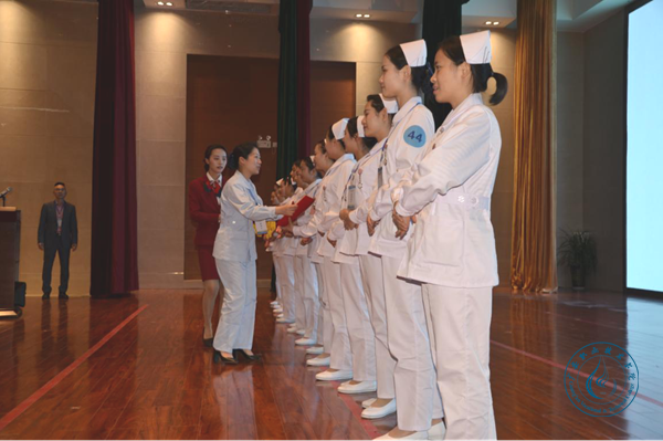 图片7