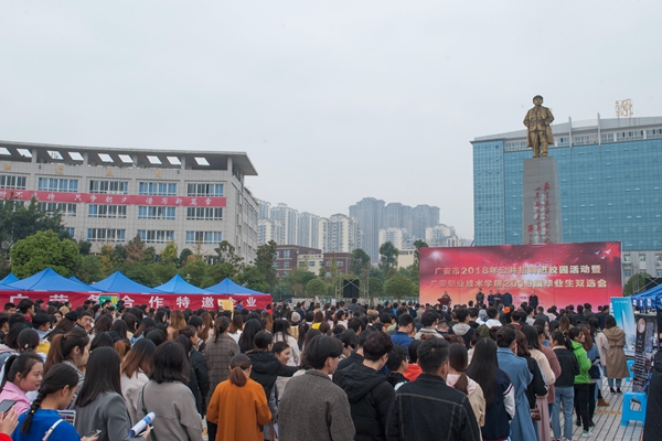 双选会1