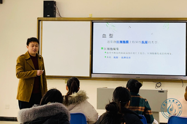 图片22
